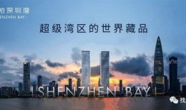 深圳湾网红最新爆料新闻,揭秘网红圈幕后真相与惊人内幕