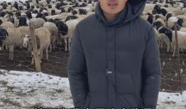 惠然被网红爆料了吗视频,揭秘背后真相