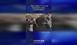 吃瓜群众爆料互殴视频,视频曝光引发网友热议