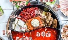 爆料爸爸炒料视频大全下载,视频大全下载攻略